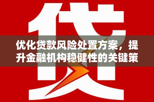 衡东优化贷款风险处置方案，提升金融机构稳健性的关键策略