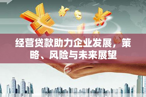 衡东经营贷款助力企业发展，策略、风险与未来展望