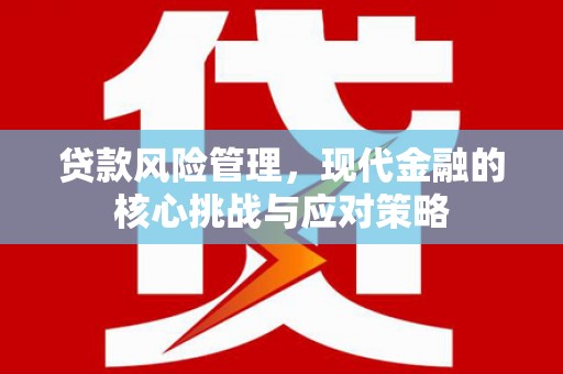 衡东贷款风险管理，现代金融的核心挑战与应对策略