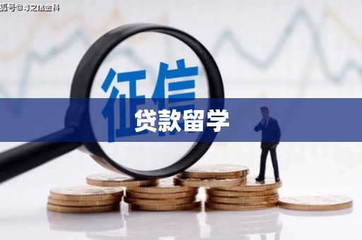 衡东贷款留学