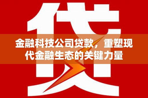 衡东金融科技公司贷款，重塑现代金融生态的关键力量