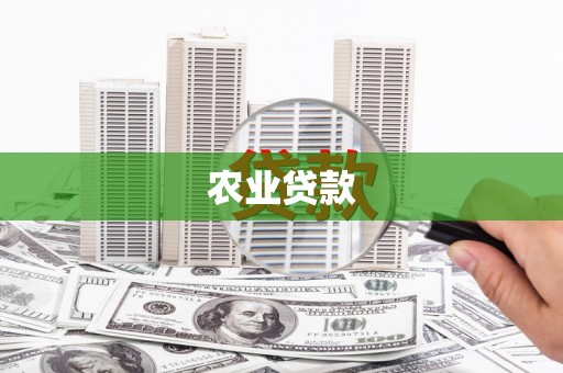衡东农业贷款