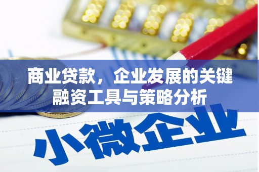 衡东商业贷款，企业发展的关键融资工具与策略分析