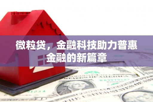 衡东微粒贷，金融科技助力普惠金融的新篇章
