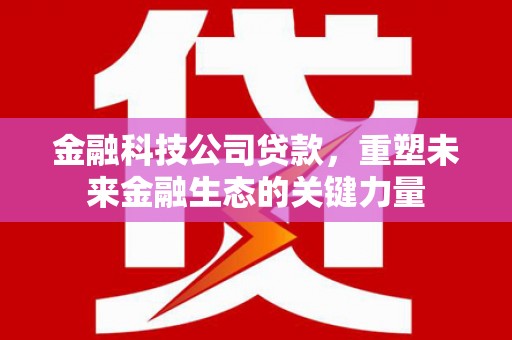 衡东金融科技公司贷款，重塑未来金融生态的关键力量