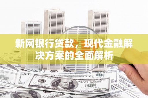 衡东新网银行贷款，现代金融解决方案的全面解析