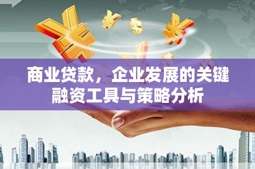 衡东商业贷款，企业发展的关键融资工具与策略分析