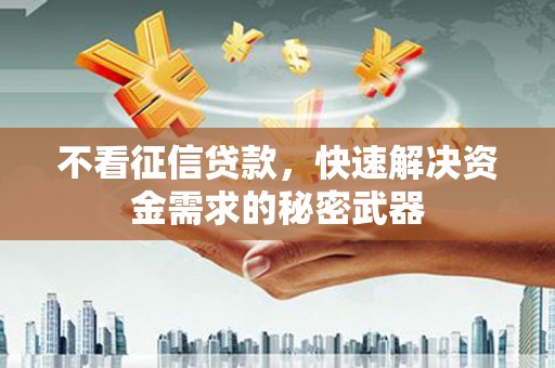 衡东不看征信贷款，快速解决资金需求的秘密武器