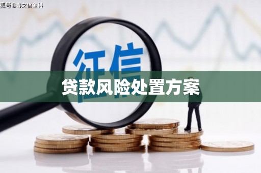 衡东贷款风险处置方案