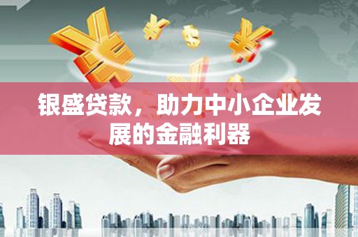 衡东银盛贷款，助力中小企业发展的金融利器
