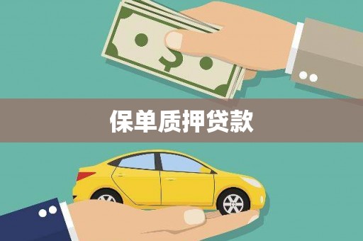 衡东保单质押贷款