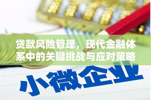衡东贷款风险管理，现代金融体系中的关键挑战与应对策略