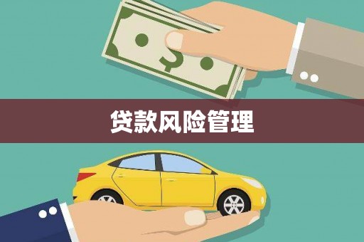 衡东贷款风险管理