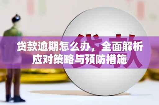 衡东贷款逾期怎么办，全面解析应对策略与预防措施