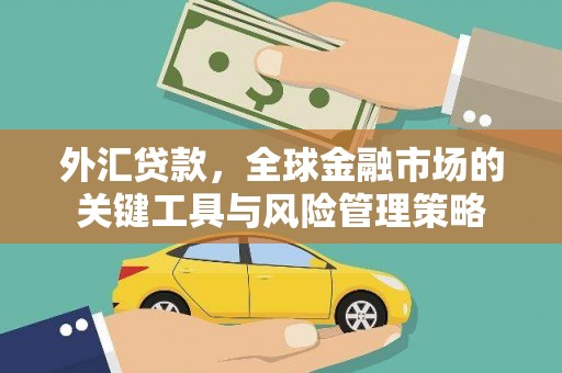 衡东外汇贷款，全球金融市场的关键工具与风险管理策略