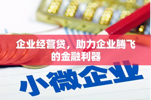 衡东企业经营贷，助力企业腾飞的金融利器