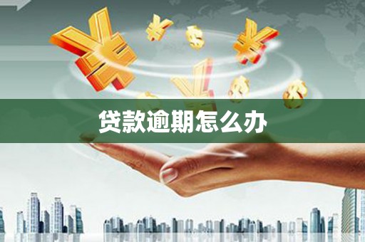 衡东贷款逾期怎么办