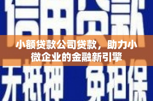 衡东小额贷款公司贷款，助力小微企业的金融新引擎