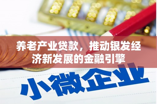 衡东养老产业贷款，推动银发经济新发展的金融引擎