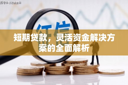 衡东短期贷款，灵活资金解决方案的全面解析