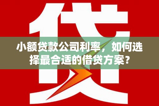 衡东小额贷款公司利率，如何选择最合适的借贷方案？