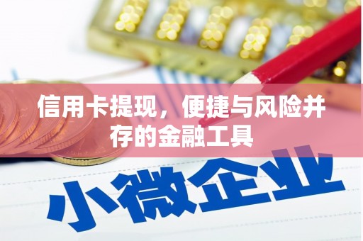 衡东信用卡提现，便捷与风险并存的金融工具