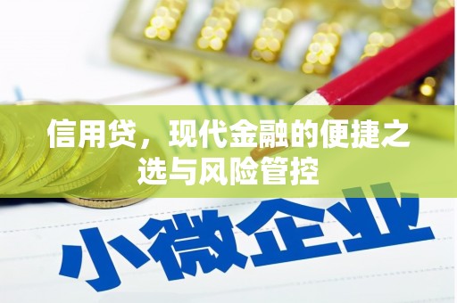 衡东信用贷，现代金融的便捷之选与风险管控