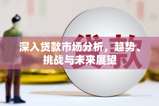 衡东深入贷款市场分析，趋势、挑战与未来展望