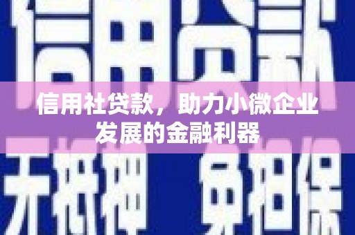 衡东信用社贷款，助力小微企业发展的金融利器