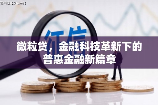 衡东微粒贷，金融科技革新下的普惠金融新篇章