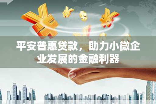 衡东平安普惠贷款，助力小微企业发展的金融利器