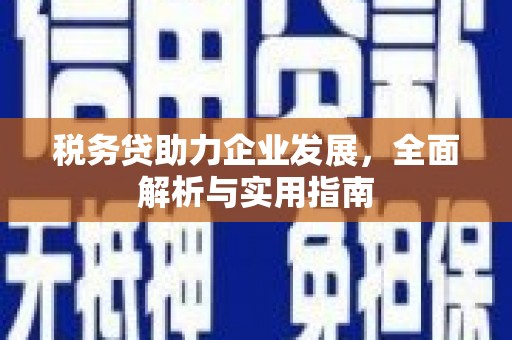衡东税务贷助力企业发展，全面解析与实用指南