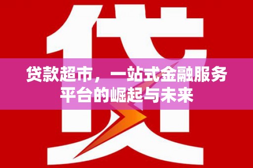 衡东贷款超市，一站式金融服务平台的崛起与未来