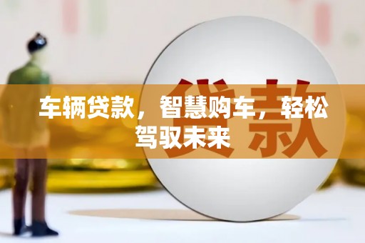 衡东车辆贷款，智慧购车，轻松驾驭未来