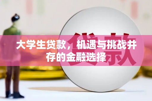 衡东大学生贷款，机遇与挑战并存的金融选择