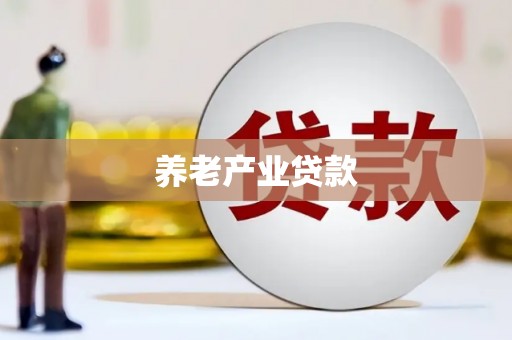 衡东养老产业贷款