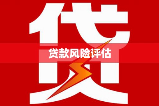 衡东贷款风险评估