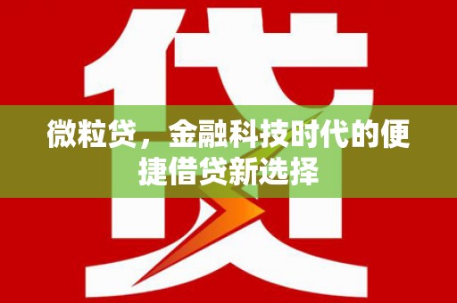 衡东微粒贷，金融科技时代的便捷借贷新选择