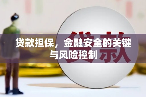 衡东贷款担保，金融安全的关键与风险控制