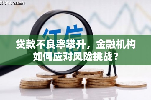 衡东贷款不良率攀升，金融机构如何应对风险挑战？