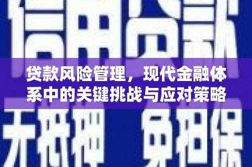衡东贷款风险管理，现代金融体系中的关键挑战与应对策略