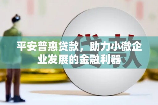 衡东平安普惠贷款，助力小微企业发展的金融利器