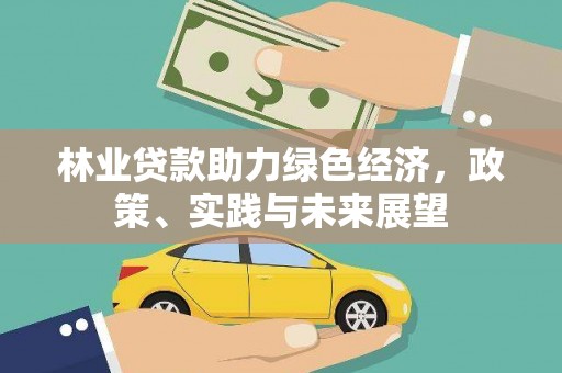 衡东林业贷款助力绿色经济，政策、实践与未来展望