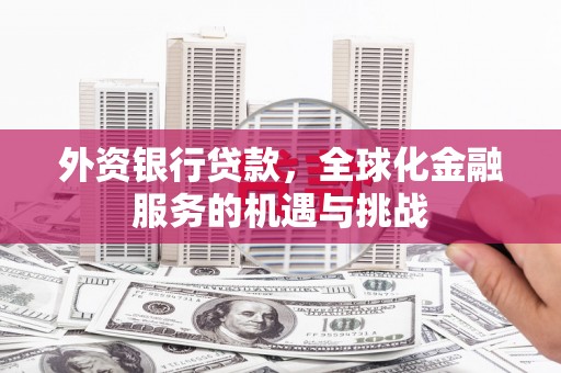衡东外资银行贷款，全球化金融服务的机遇与挑战
