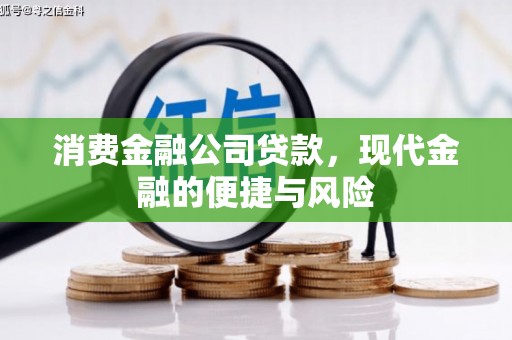 衡东消费金融公司贷款，现代金融的便捷与风险
