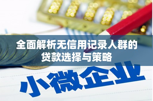 衡东全面解析无信用记录人群的贷款选择与策略