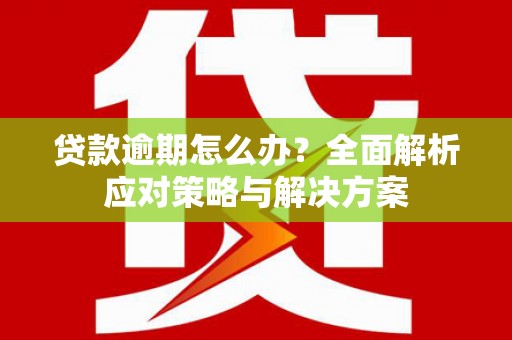衡东贷款逾期怎么办？全面解析应对策略与解决方案