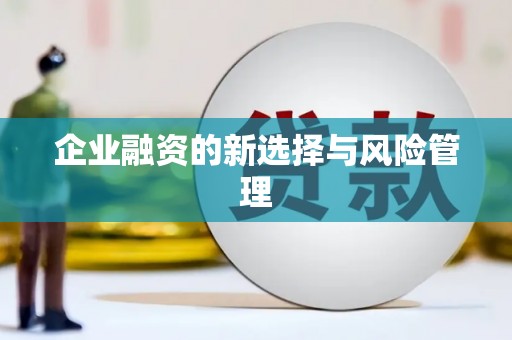 衡东企业融资的新选择与风险管理