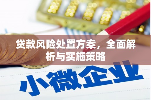 衡东贷款风险处置方案，全面解析与实施策略