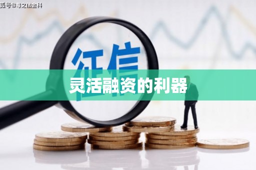 衡东灵活融资的利器
